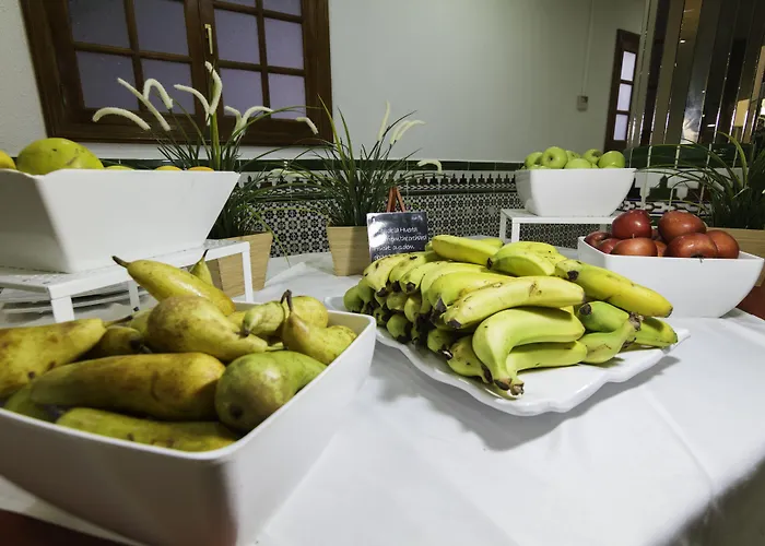 Checkin Concordia Playa Puerto de la Cruz (Tenerife)